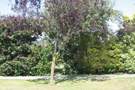 Photo of property in 15 Leistrella Road, Hoon Hay, Christchurch, 8025