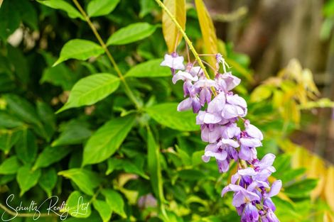 Photo of property in 1870 State Highway 1, Kaiwaka, 0573