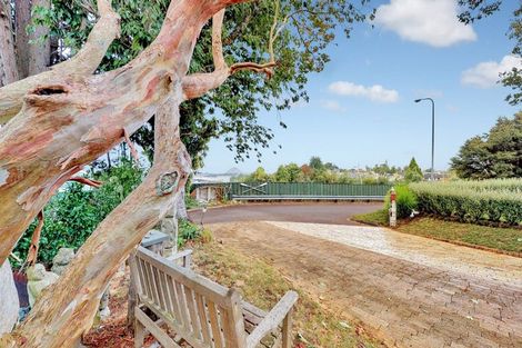 Photo of property in 187 Edgecumbe Road, Tauranga South, Tauranga, 3112