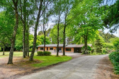 Photo of property in 116 Link Road, Wairakei, Taupo, 3384