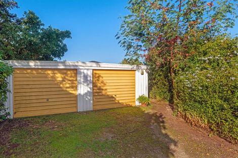 Photo of property in 25 Steed Avenue, Te Hapara, Gisborne, 4010