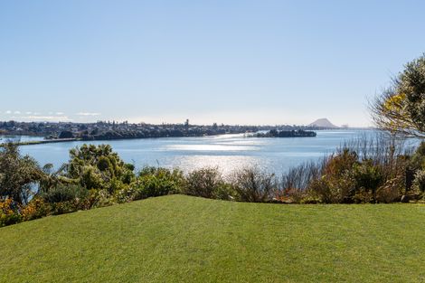Photo of property in 17 Tutauanui Crescent, Maungatapu, Tauranga, 3112