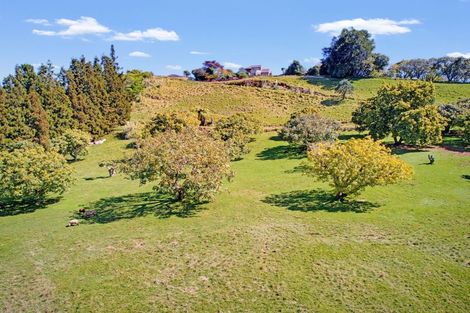 Photo of property in 233 Waipapa Block Road, Whakamarama, Tauranga, 3180