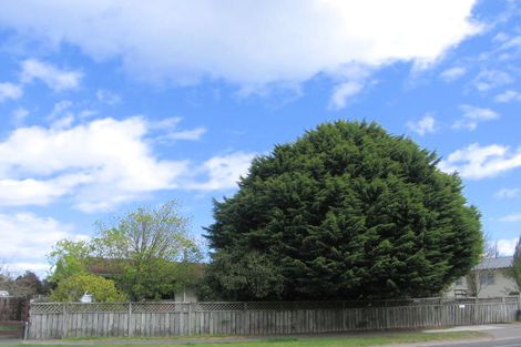 Photo of property in 107 Tamatea Road, Taupo, 3330