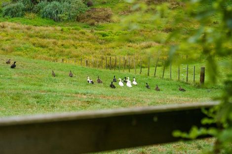 Photo of property in 2352 River Road, Horsham Downs, Hamilton, 3281