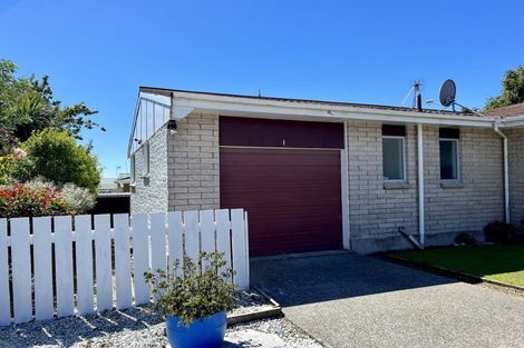 Photo of property in 100 Grace Street, Appleby, Invercargill, 9812