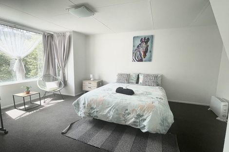 Photo of property in 117 Caversham Valley Road, Calton Hill, Dunedin, 9012