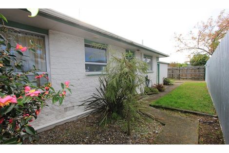 Photo of property in 205b Weld Street, Witherlea, Blenheim, 7201