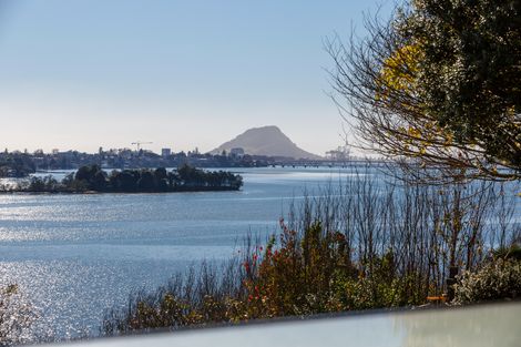 Photo of property in 17 Tutauanui Crescent, Maungatapu, Tauranga, 3112