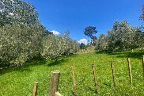 Photo of property in 14 Mcgiven Place, Coatesville, 0793