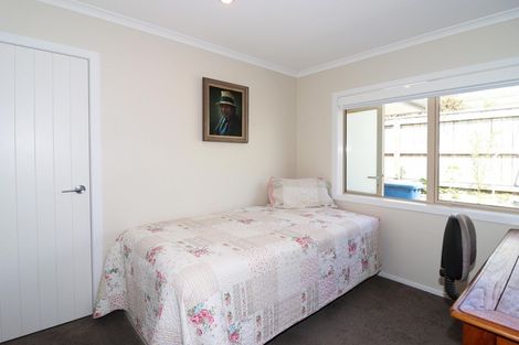 Photo of property in 93 Essex Street, Masterton, 5810