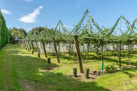 Photo of property in 154b Wairoa Road, Minden, Tauranga, 3171