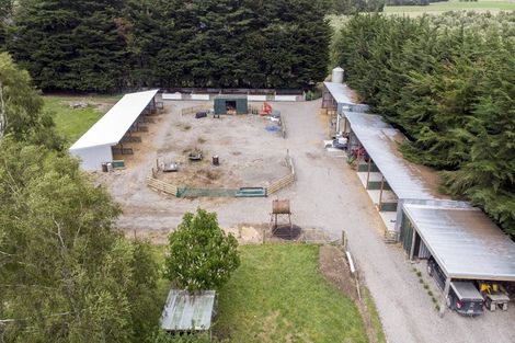 Photo of property in 255 No 1 Line, Tauwharenikau, Tauherenikau, 5771