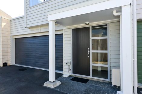 Photo of property in 17 Portland Lane, Chartwell, Hamilton, 3210