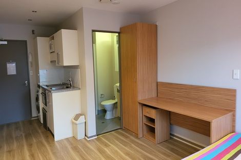 Photo of property in Dual Apartments, 108/142 Vivian Street, Te Aro, Wellington, 6011