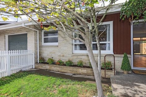 Photo of property in 2/707 York Street, Mahora, Hastings, 4120