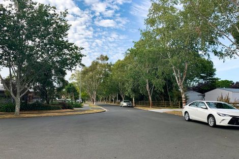 Photo of property in 24 Mullane Street, Hillcrest, Hamilton, 3216