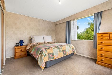 Photo of property in 123 Beach Street, Waikouaiti, 9510