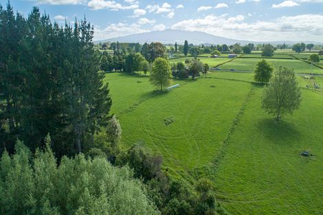 Photo of property in 22 Bowman Road, Te Awamutu, 3876