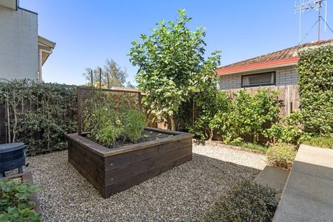 Photo of property in 2/183 Edgecumbe Road, Tauranga South, Tauranga, 3112