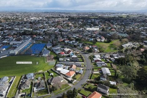 Photo of property in 21 Churchill Avenue, Maeroa, Hamilton, 3200