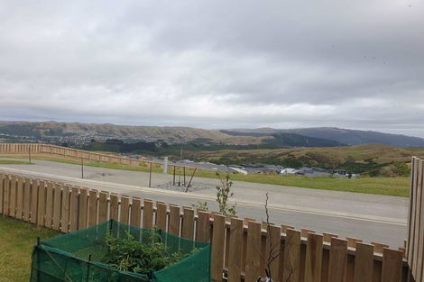 Photo of property in 10 Astelia Way, Woodridge, Wellington, 6037