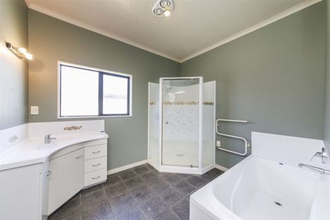 Photo of property in 250a Grey Street, Palmerston North, 4414