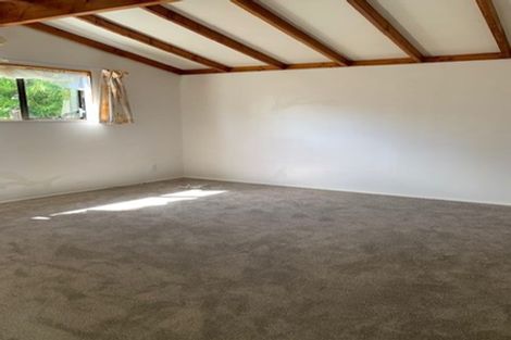 Photo of property in 41 Takapu Street, Henderson, Auckland, 0612