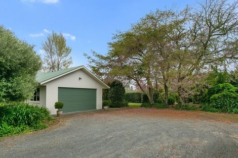 Photo of property in 37 Cowley Drive, Leamington, Cambridge, 3432