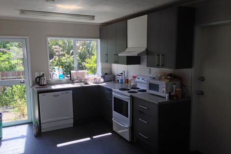 Photo of property in 119 North Road, North East Valley, Dunedin, 9010