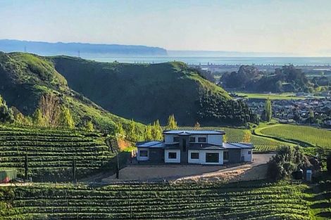 Photo of property in 62 Tironui Drive, Taradale, Napier, 4112