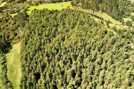 Photo of property in 262 Wainui Road South, Whakamarama, Katikati, 3181