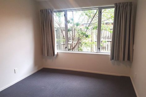 Photo of property in 36c Braddon Street, Addington, Christchurch, 8024