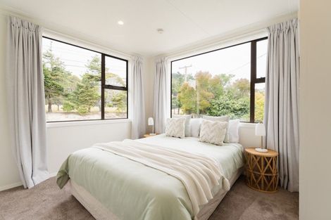 Photo of property in 51 Isadore Road, Saint Clair, Dunedin, 9012