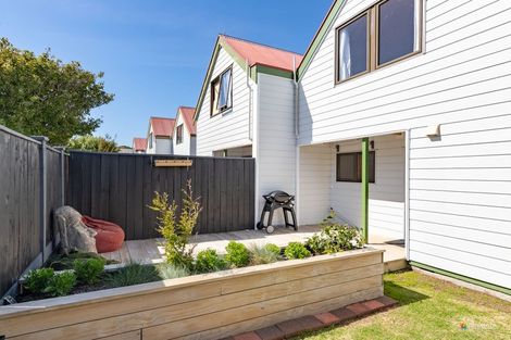 Photo of property in Princeton Gardens, 3/58 Cuba Street, Petone, Lower Hutt, 5012