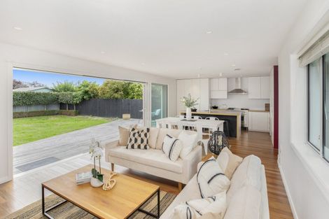 Photo of property in 53 Birchfield Avenue, Dallington, Christchurch, 8061