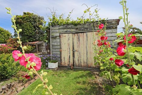 Photo of property in 44 Mcdonald Street, Napier South, Napier, 4110