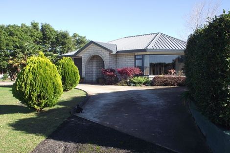 Photo of property in 58 Bradford Street, Waihi, 3610