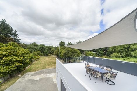 Photo of property in 44 Seddon Street, Feilding, 4702