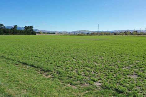 Photo of property in 216 Reserve Road, Balcairn, Amberley, 7481