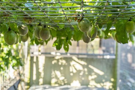 Photo of property in 16 Ranginui Road, Welcome Bay, Tauranga, 3112