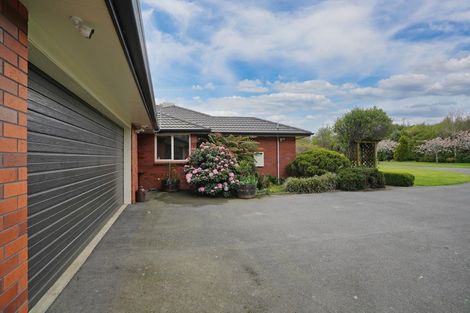 Photo of property in 420 Mcivor Road, Myross Bush, Invercargill, 9876