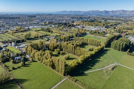 Photo of property in 481 Marshland Road, Marshland, Christchurch, 8083