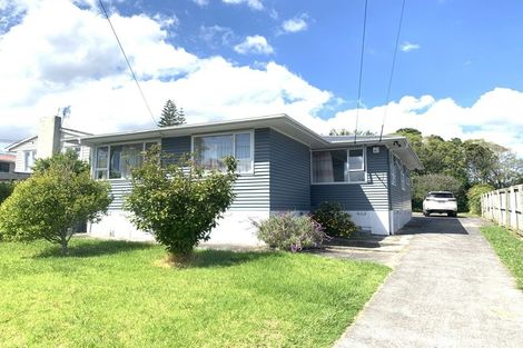 Photo of property in 60 Webster Avenue, Mount Roskill, Auckland, 1041