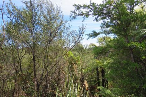 Photo of property in 1022a Fairdown Road, Fairdown, Westport, 7891