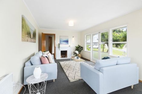 Photo of property in 31 Priscilla Crescent, Kingston, Wellington, 6021