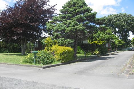 Photo of property in 199 Main Street, Pahiatua, 4910