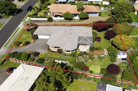 Photo of property in 6 Rochester Place, Bethlehem, Tauranga, 3110