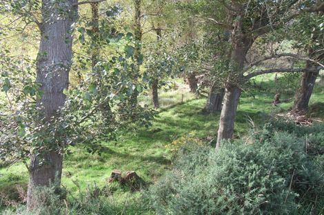 Photo of property in 26 Kirks Road, Waimate, 7978