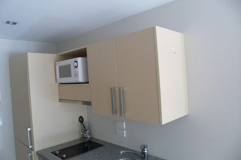 Photo of property in Dual Apartments, 108/142 Vivian Street, Te Aro, Wellington, 6011